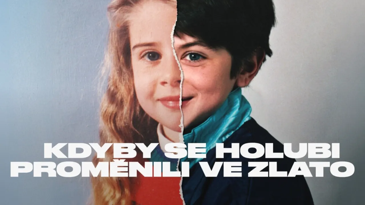 Kdyby se holubi proměnili ve zlato