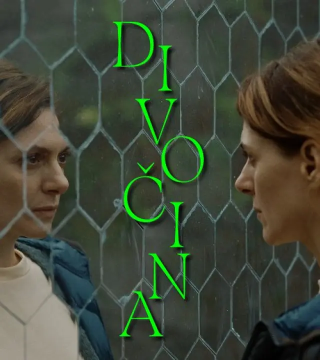 Divočina