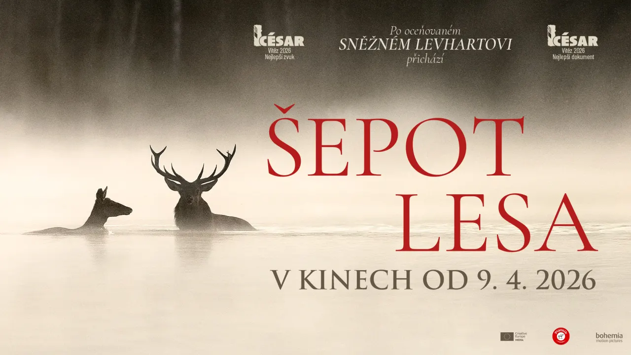 Šepot lesa