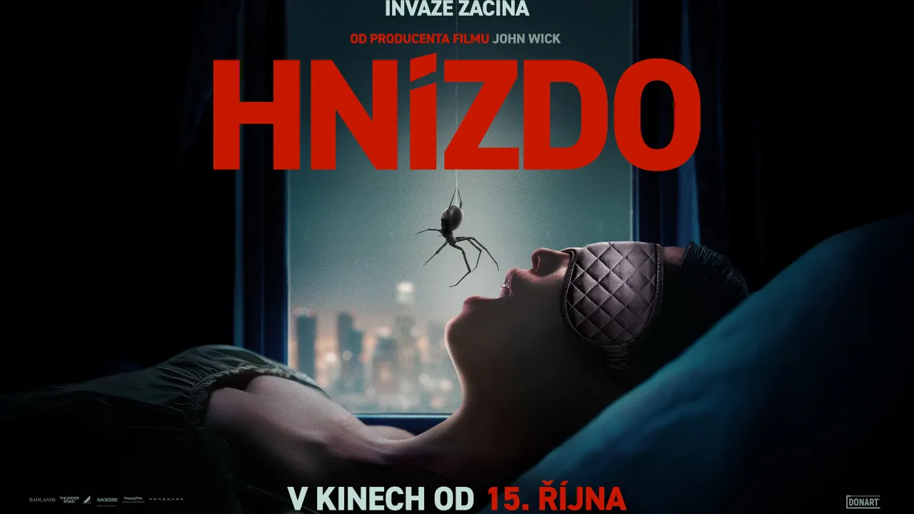 Hnízdo