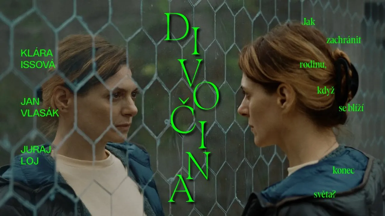 Divočina