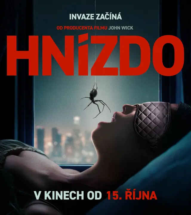Hnízdo