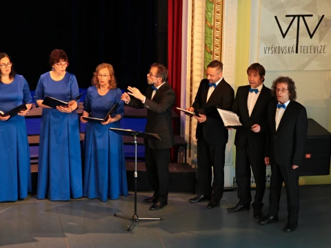 Přehlídka bigbandů — fotografie 13